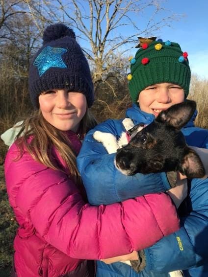 Anderson Moores ensures happy ending for trampled puppy