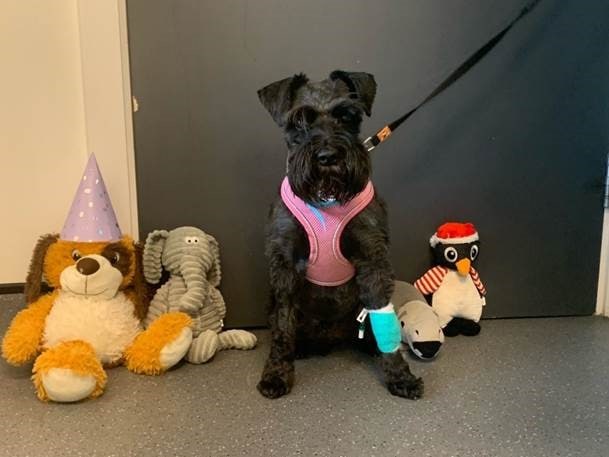 Kind-hearted Southfields Nurses Throw Birthday Party For Patient - And Best Present Is Lifesaving Treatment!