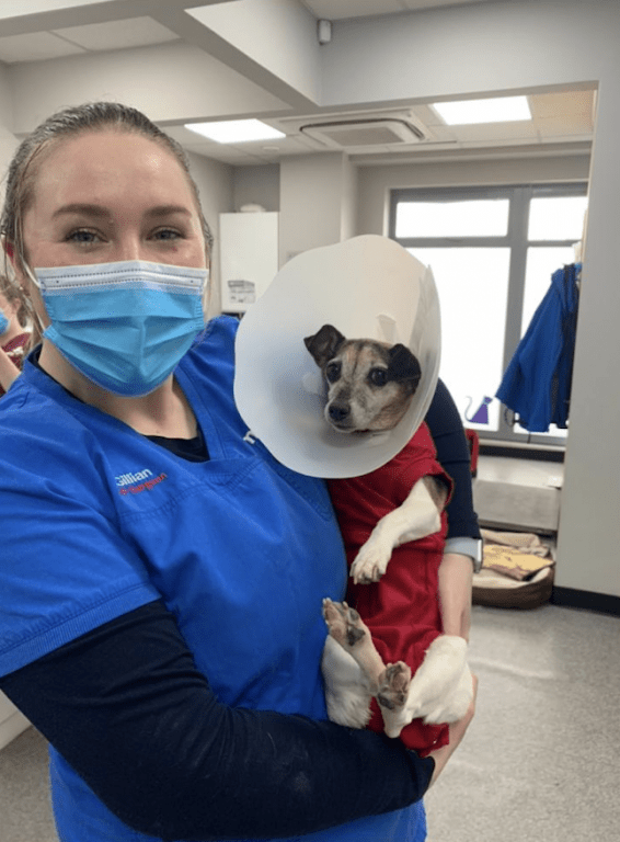 Miraculous Mo's Remarkable Recovery Thanks To My Vet