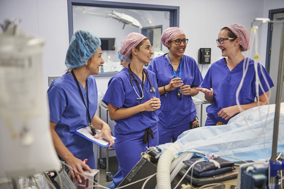 WILLOWS TO LAUNCH WORLD-FIRST VET NURSE TRAINING PROGRAMME