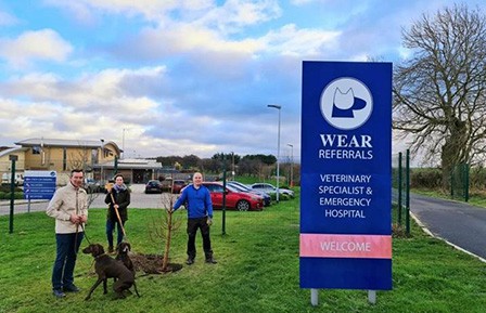 Pet Memorial Tree-planting Scheme Launched By Wear Referrals