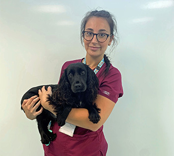 YORKSHIRE VETS ISSUE WARNING ABOUT POTENTIALLY-DEADLY LUNGWORM INFECTIONS