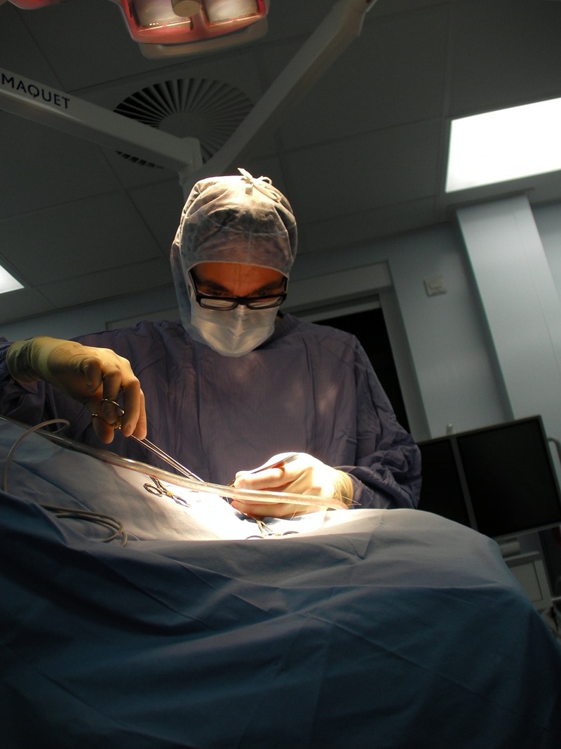 Willows specialist earns prestigious editorial role