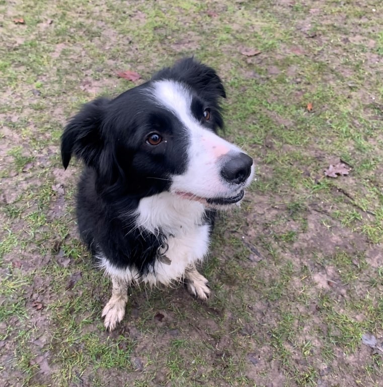 Southfields' Specialists Combine To Treat Rare Spinal Cancer