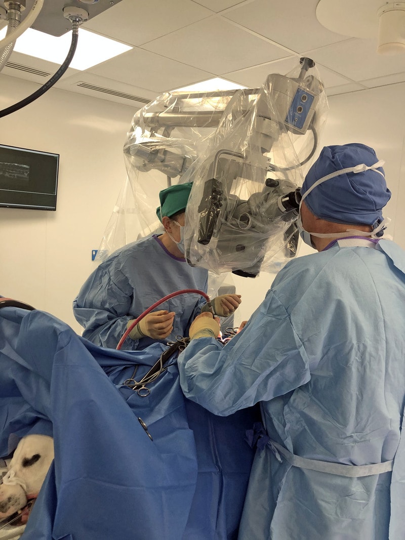 Linnaeus invests in hi-tech surgical microscope