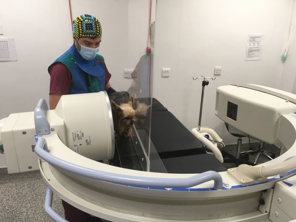 Swindon Vets’ Innovative New Imaging Technique With Repurposed Covid-19 Kit