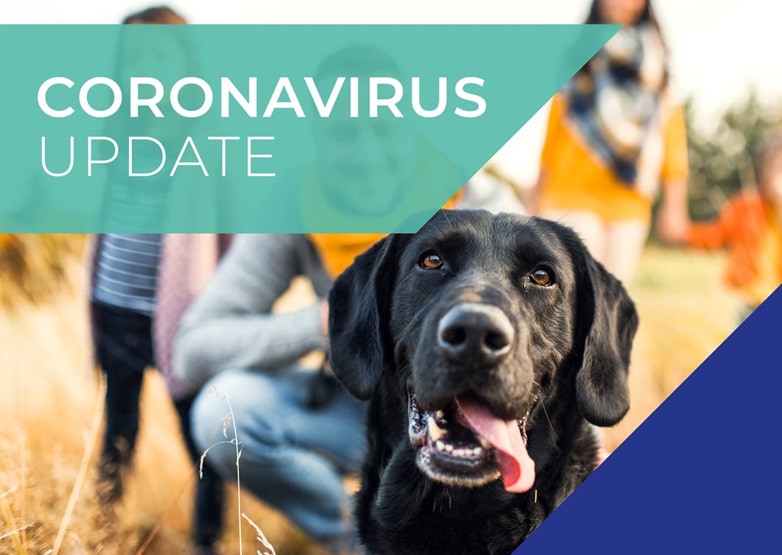 Linnaeus COVID-19 (Coronavirus) Update