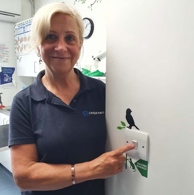 Kent Veterinary Practices Earn National Recognition For Work To Offset Their Carbon Footprint