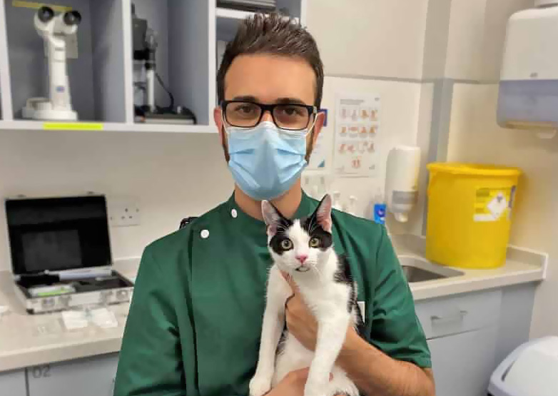 Lucky Loki Looking Good After Eye Surgery At Willows