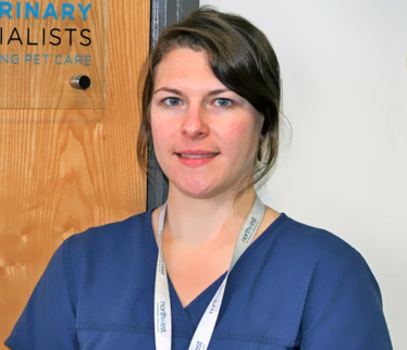 New Neurology And Surgery Specialists At Cheshire Animal Hospital After Exam Success