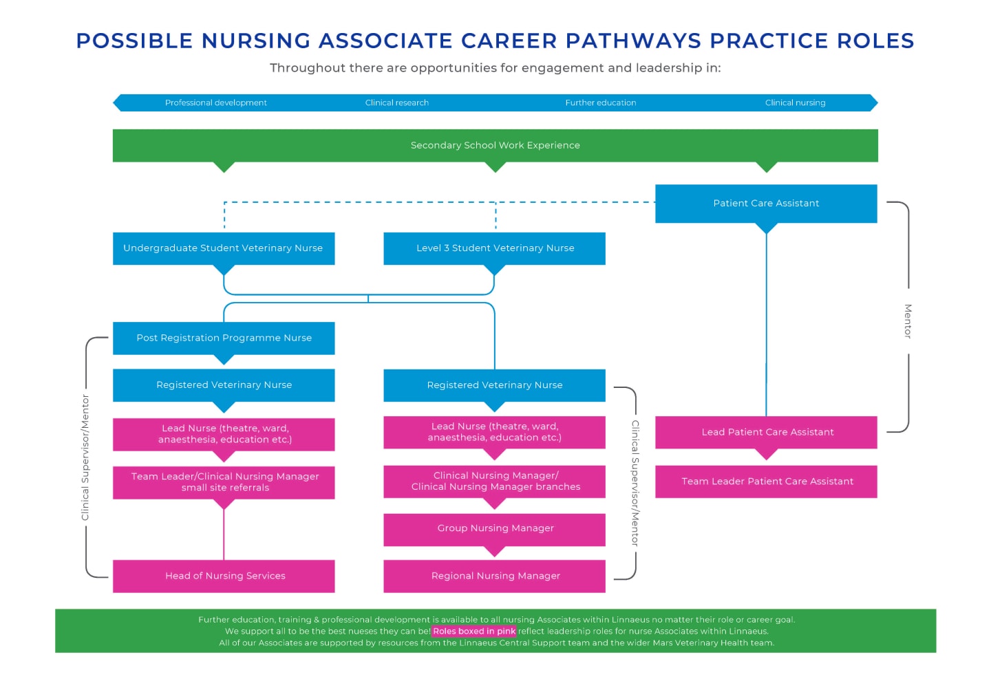 nursing career pathways