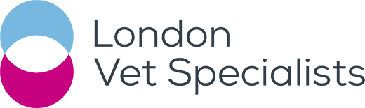 London Vet Specialists