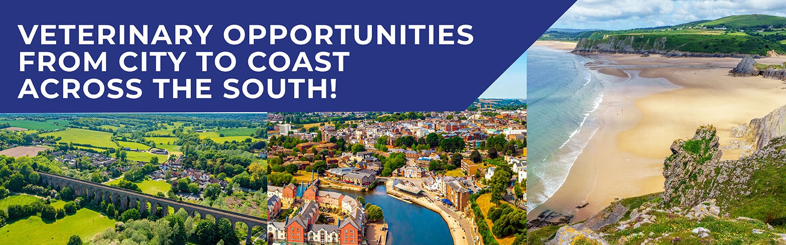 explore a new lease of life south coast banner