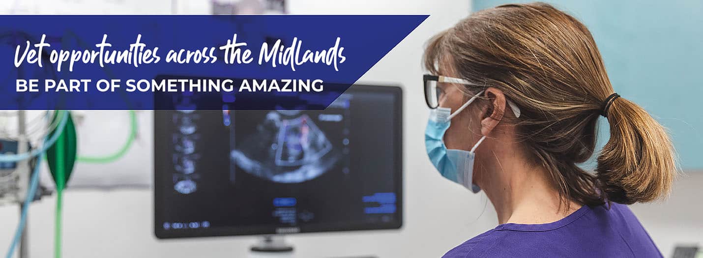 Banner image for Vet opportunities across the Midlands with Linnaeus