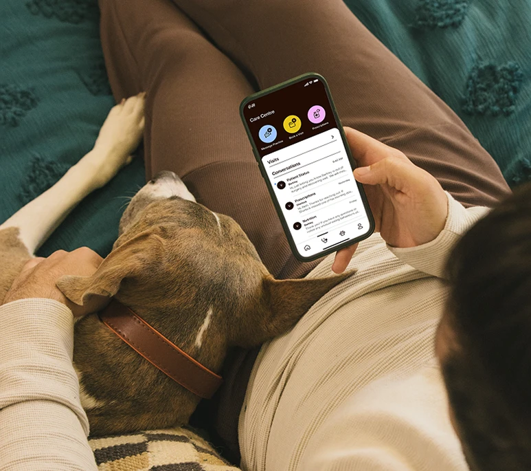 Person using the Kinship app with their dog