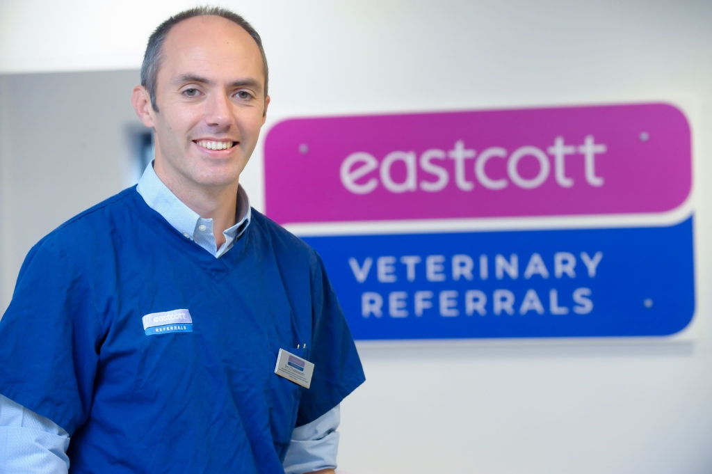 Laser Investment Boosts Treatment Options At Swindon Veterinary Hospital