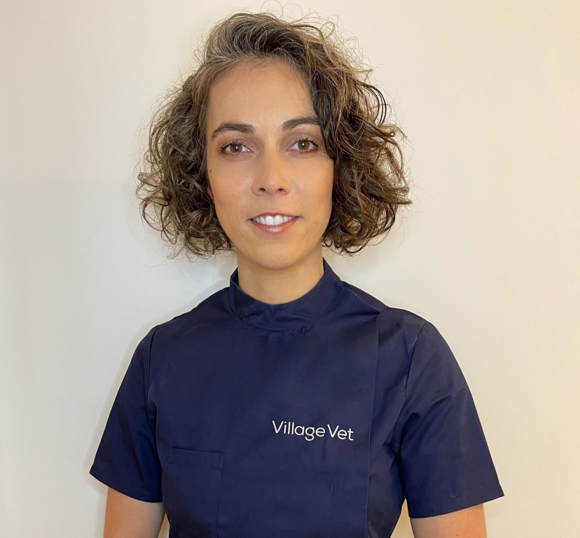 Vet's Vision To Transform Eye Care For Animals