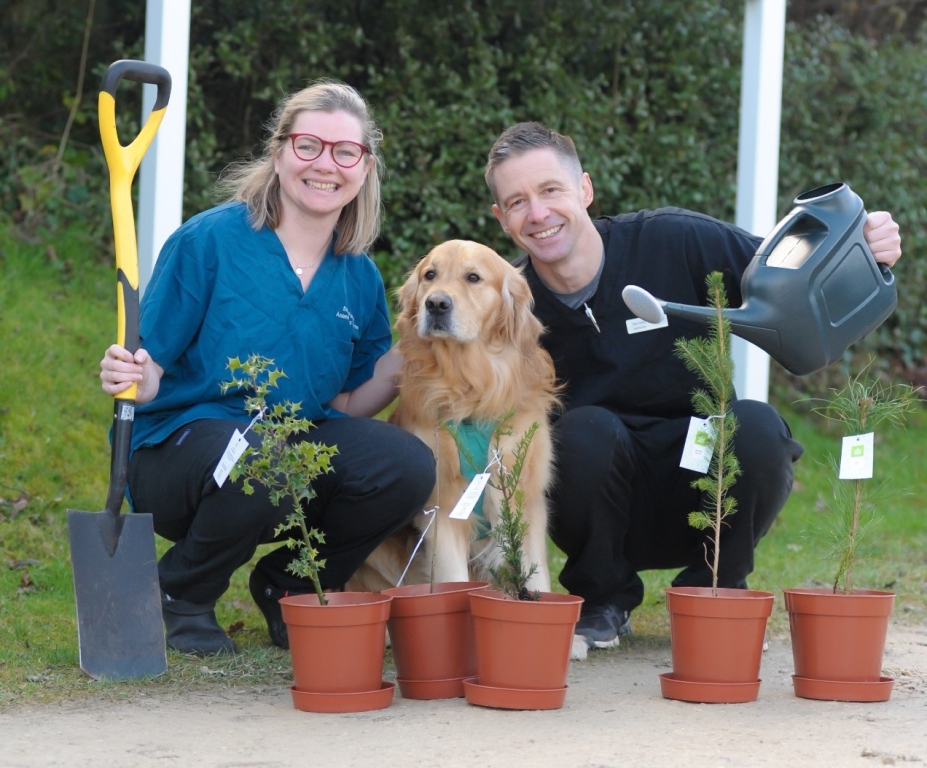 Eco-conscious Somerset Vet Hospital Hits Milestone Of 250 Trees Planted In 2022