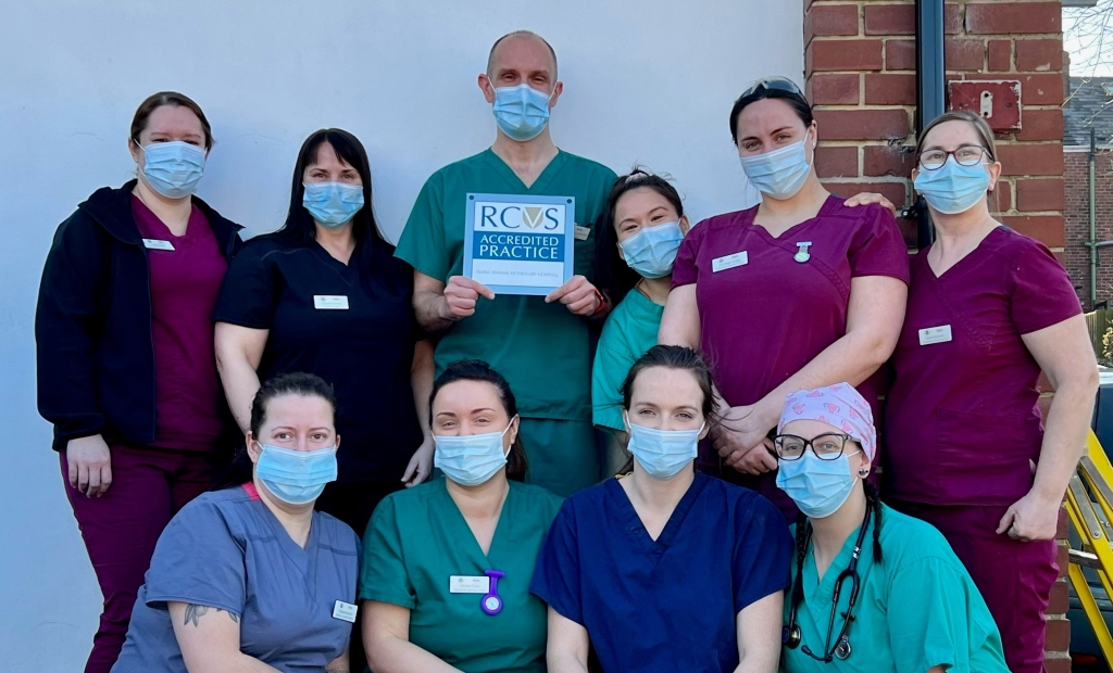 Peak Vets Earns Praise For Care As Part Of Hospital Status