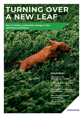 Front page of sustainability report