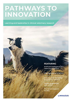Front page of pathways to inovation report