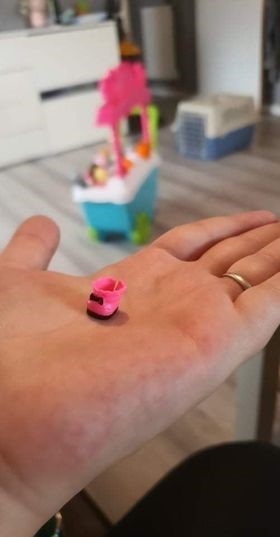 SHOE DOESN’T FIT AS EASTCOTT VETS COME TO CURIOUS CAT’S RESCUE